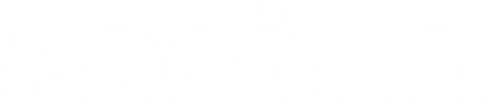 Facilon